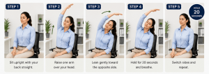 Seated side stretch guide guide for desk workers