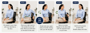 Seated spinal twist guide for desk wellness